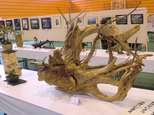 草木ダム流木アート