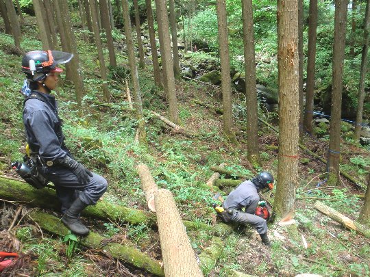 林業作業
