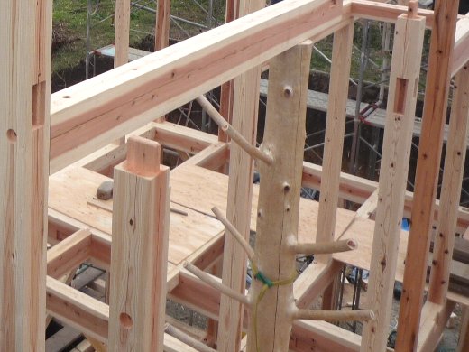 枝付き桧丸太柱