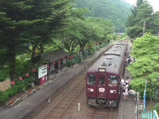 沢入駅アジサイ祭り