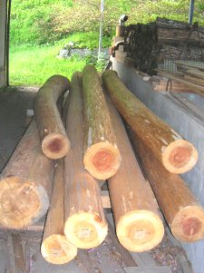 丸太のストック