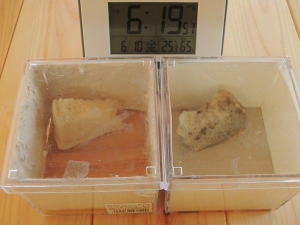 珪藻土とビニールクロス、７日後